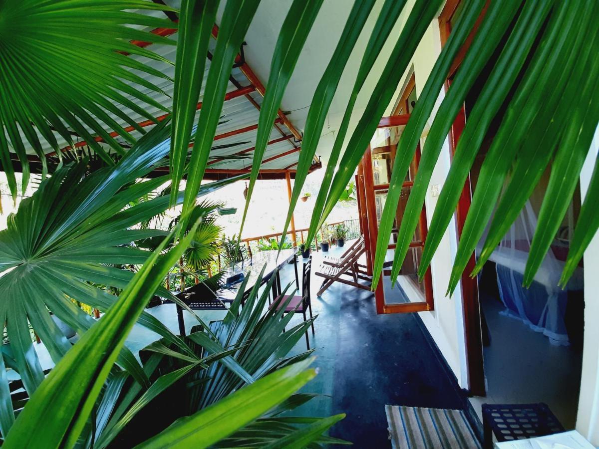 Serenity Homestay Ella Exteriér fotografie